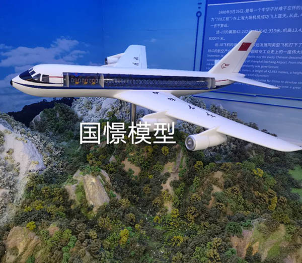 田林县飞机模型